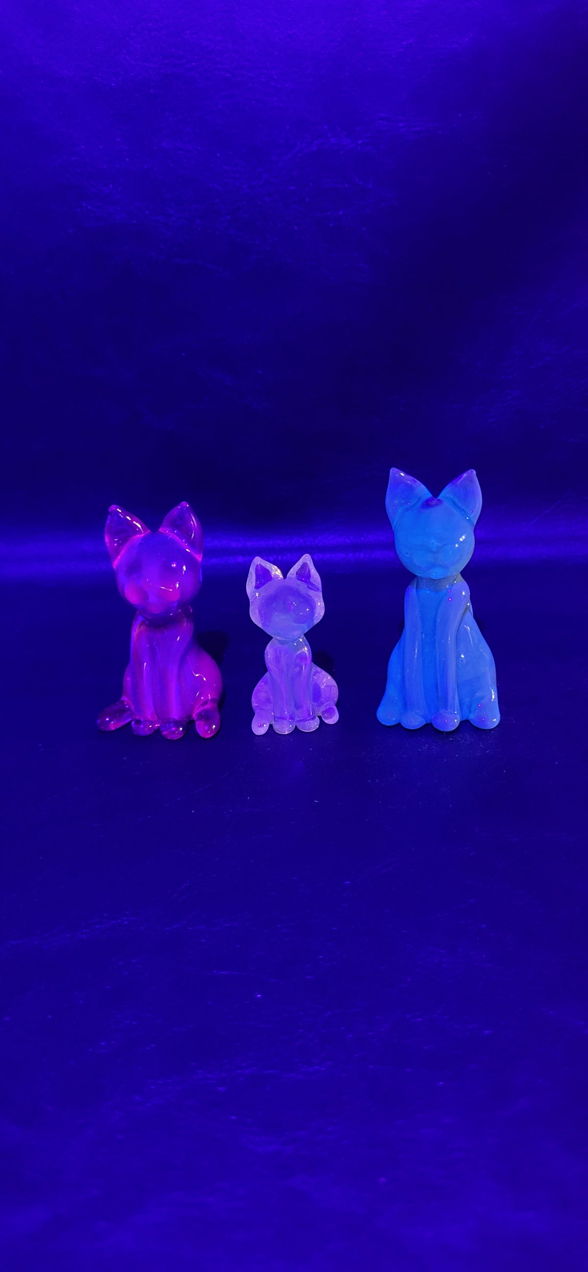 Gold Purple cat (Medium) [UV]