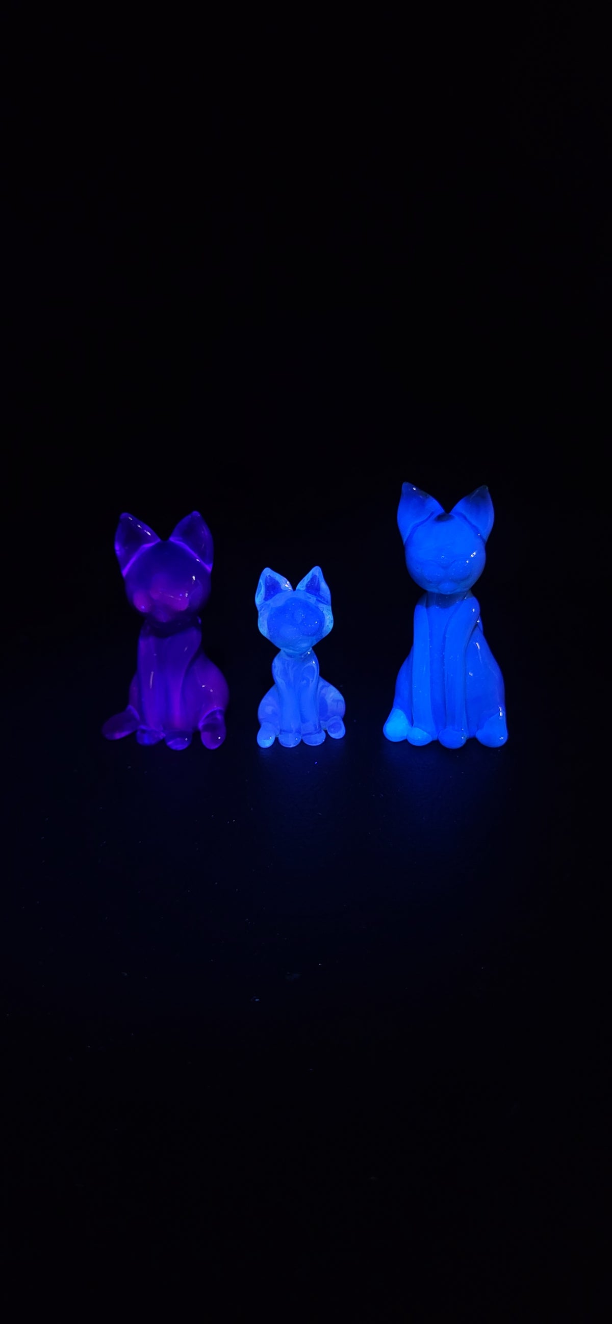 Blue caramel cat (Medium) [UV]